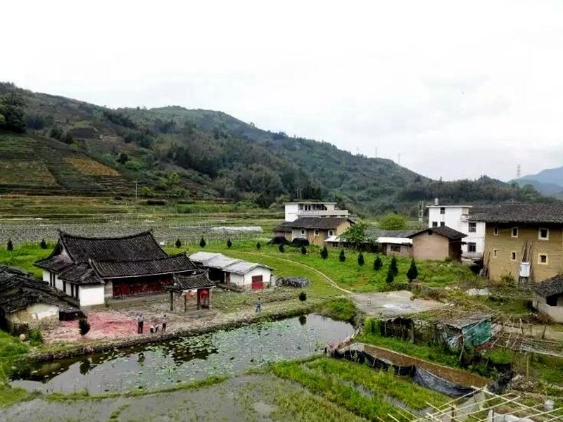 农家院：在绿水青山和石头缝里恣意生长(图1)