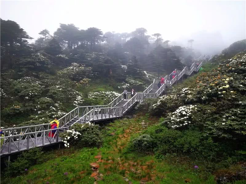 美若壁纸！大理苍山现“日月同辉”景观(图1)