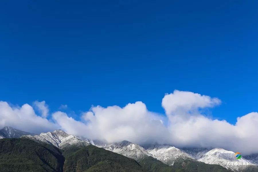 玉苍山景区全新上线 在森林氧吧领略国潮古风(图1)